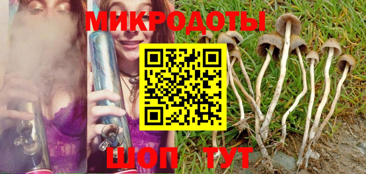 Галлюциногенные грибы ЛСД  Вход с VPN  как найти закладки  Будённовск 