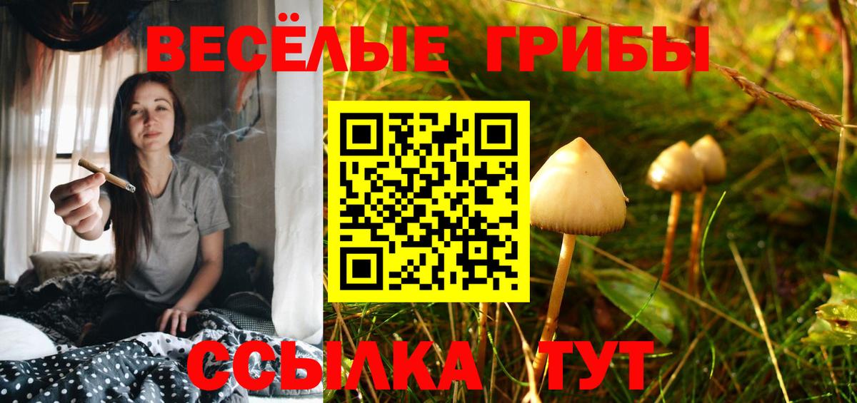 Галлюциногенные грибы мухоморы Будённовск
